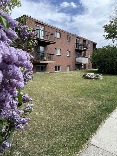 Calgary 1 bedroom Apartment for rent. Property photo: 36567-2