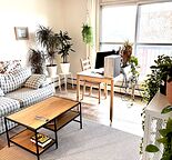 West Hillhurst 1 Bdrm Lower