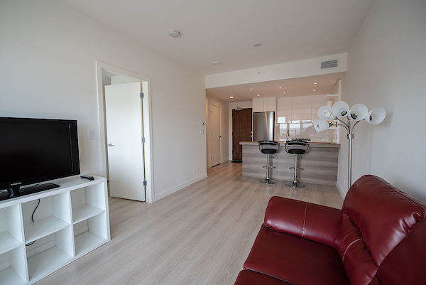 Waterfront Parkside Fully Furnished High level Condo with River Views