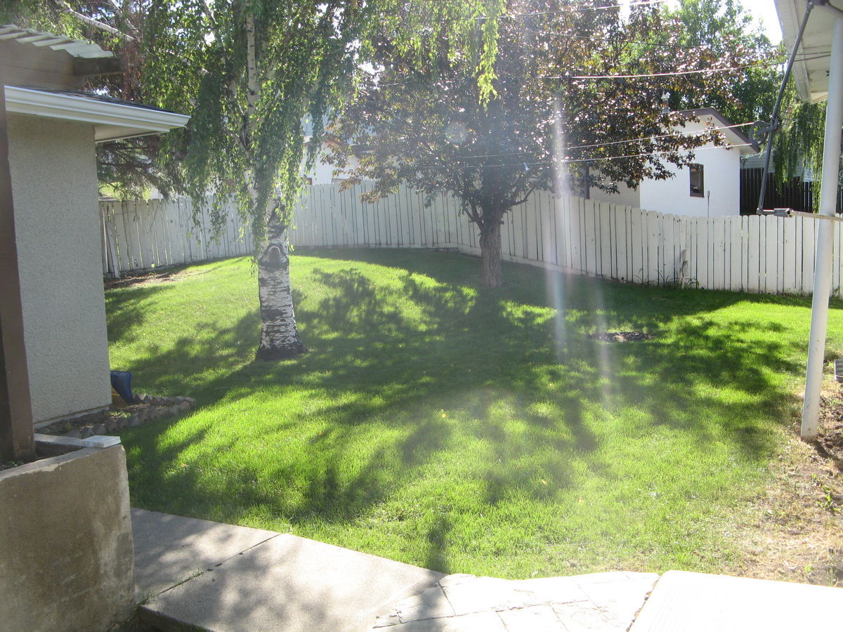 Calgary 2 bedrooms Basement for rent. Property photo: 36997-1