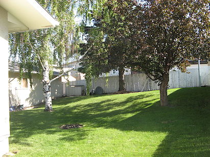 Calgary 2 bedrooms Basement for rent. Property photo: 36997-2