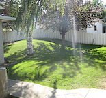Huge Renovated 2 Bedroom Basement Suite