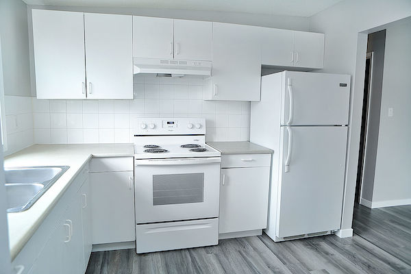 Calgary 3 bedrooms Main Floor for rent. Property photo: 373587-3