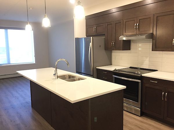 Calgary 1 + Den bedrooms Condo Unit for rent. Property photo: 379143-2