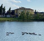 Large Executive house, custom made very bright two storey, on the lake, must see