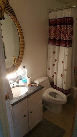 Calgary 1 + Den bedrooms Room For Rent for rent. Property photo: 391816-2