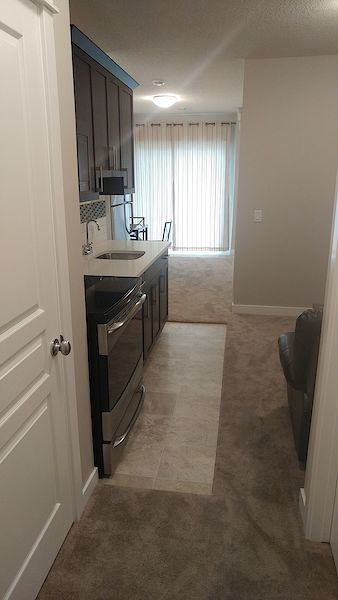 Calgary 1 bedroom Basement for rent. Property photo: 394607-3