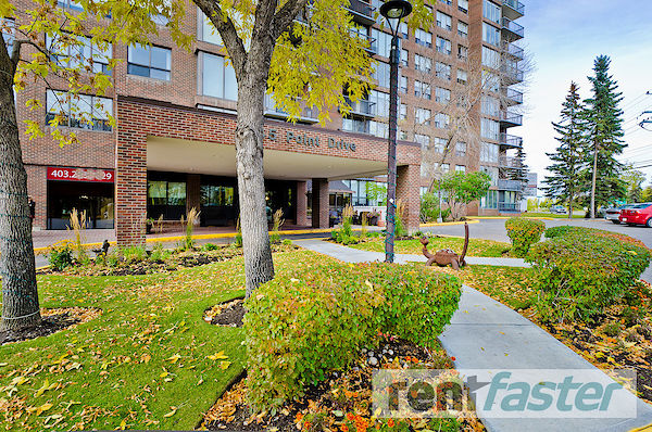 Calgary 1 bedroom Condo Unit for rent. Property photo: 395449-2