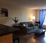 Penthouse! Furnished 1 bedroom apartment