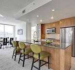 Luxury Fully Furnished Executive Condo $3200 for Lease