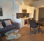 FULLY FURNISHED 1 BDRM CONDO!  PET FRIENDLY - AVAILABLE SEPT 1ST