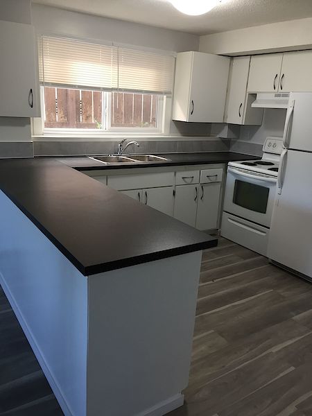 Calgary 3 bedrooms Basement for rent. Property photo: 414156-3