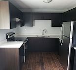 Renovated Two-Bedroom Upper Unit in North Mount Pleasant