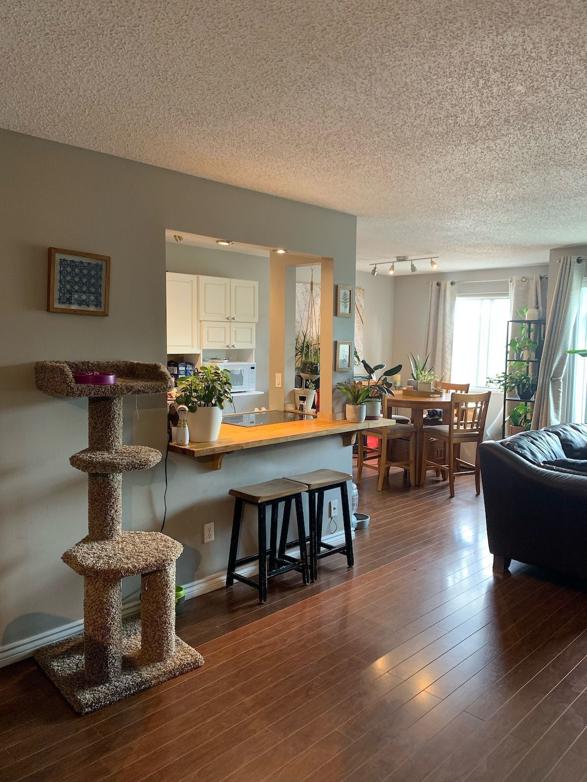 Calgary 2 bedrooms Condo Unit for rent. Property photo: 427860-1