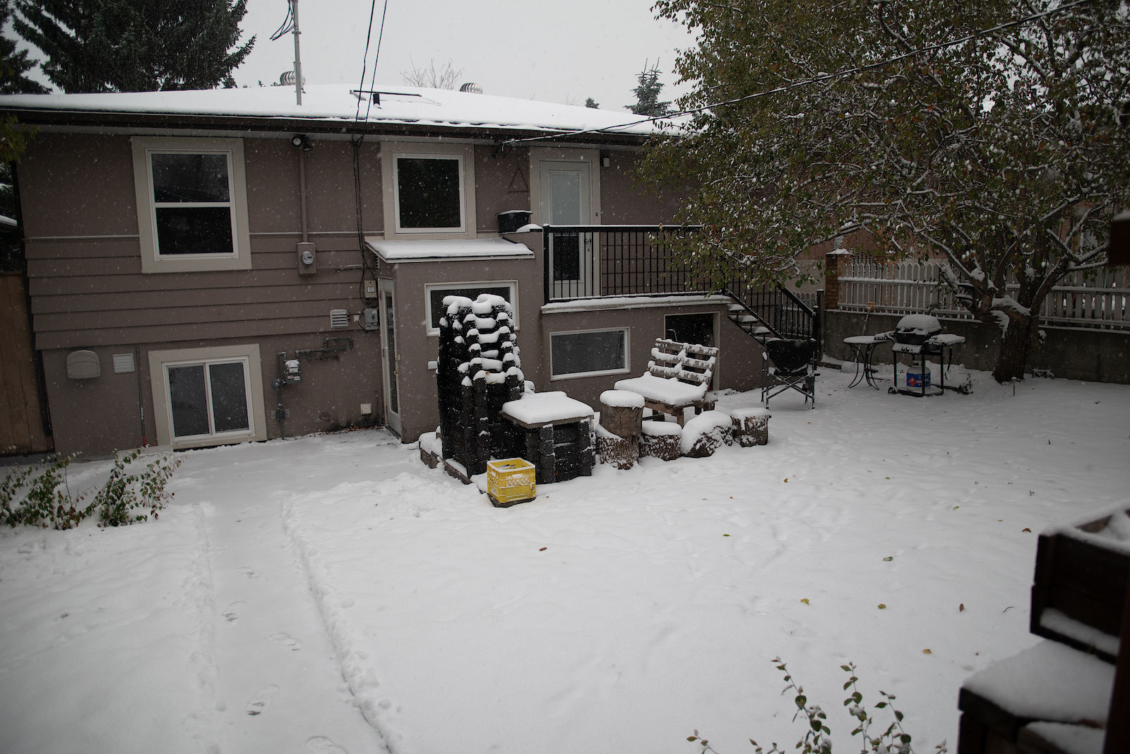Calgary 2 bedrooms Basement for rent. Property photo: 428371-1