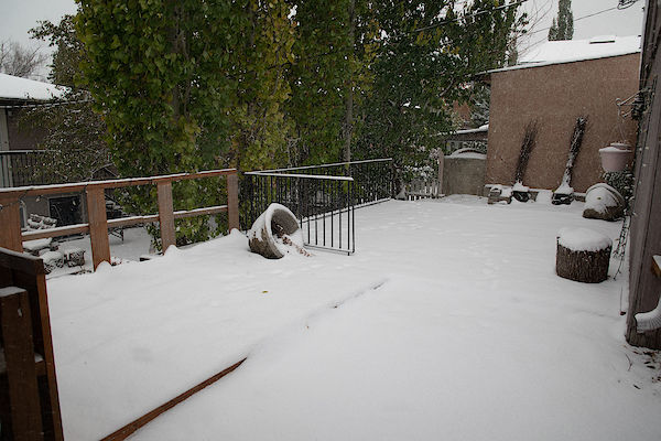 Calgary 2 bedrooms Basement for rent. Property photo: 428371-2