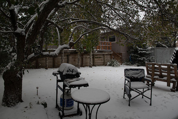 Calgary 2 bedrooms Basement for rent. Property photo: 428371-3