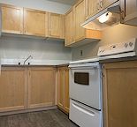 COMPLETELY UPGRADED 2 SUITE WITH BACKYARD!!!