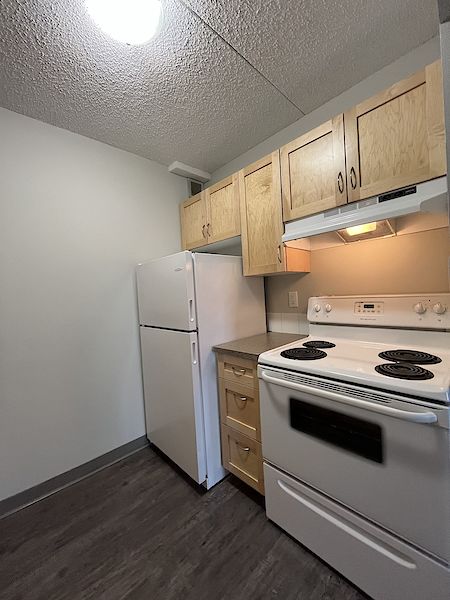 Calgary 1 bedroom Apartment for rent. Property photo: 434806-3