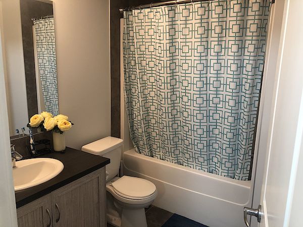 Calgary 1 bedroom Basement for rent. Property photo: 435202-2