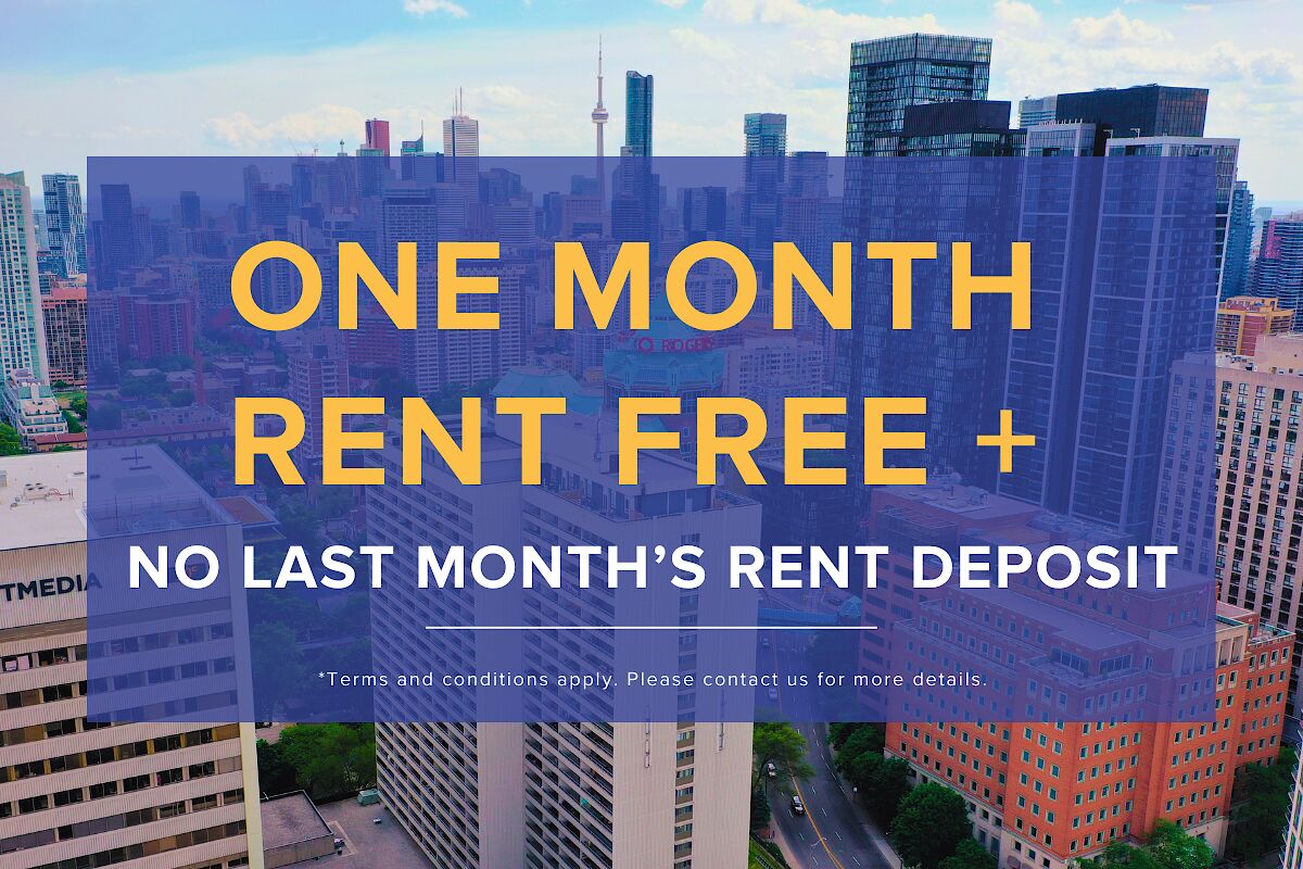 Toronto 1 bedrooms Apartment for rent. Property photo: 442413-1