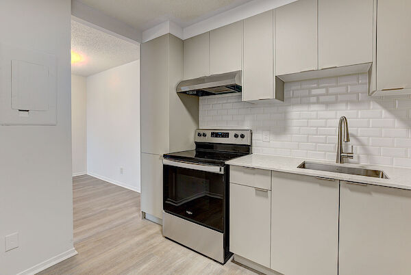 C&ocirc;te Saint-Luc 2 bedrooms Apartment for rent. Property photo: 443736-3