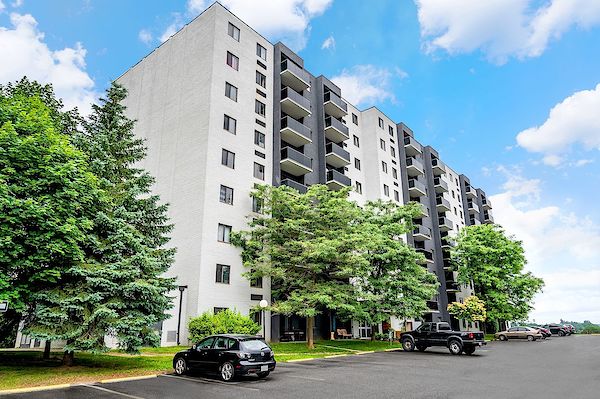 Kitchener 2 bedrooms Apartment for rent. Property photo: 447704-3