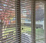 Quiet and sophistic community close to shopping mall, Ctrain, and schools.