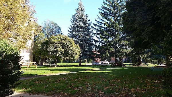Burlington 2 bedrooms Apartment for rent. Property photo: 448810-3