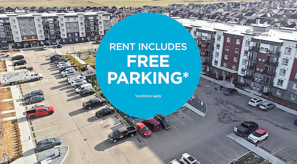 Edmonton 1 bedrooms Apartment for rent. Property photo: 448914-2