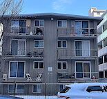 Cozy 1 Bedroom Basement Suite Available in the Beltline