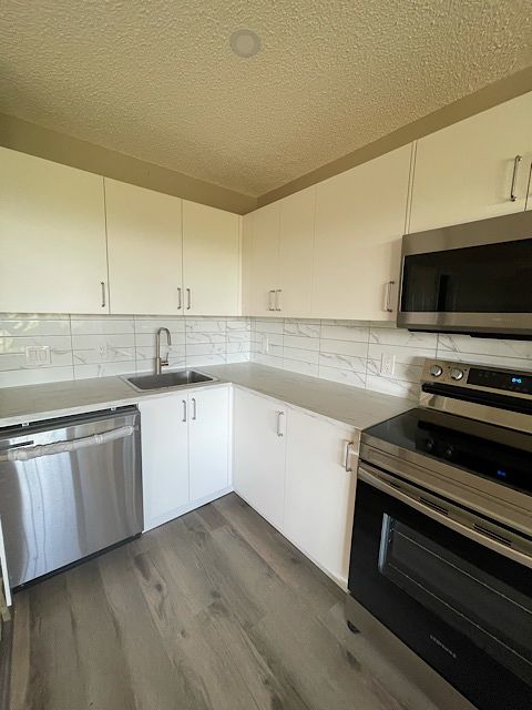 Calgary 1 bedroom Basement for rent. Property photo: 454966-1