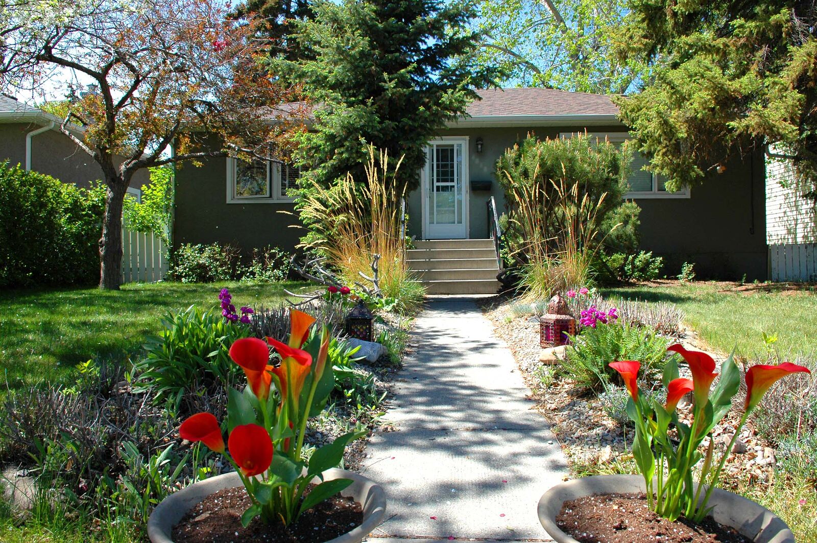 Calgary 5 bedrooms House for rent. Property photo: 456380-1