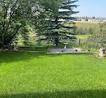 Just bring your clothes..Walkout Suite with Separate Entrance, Kitchen, Laundry