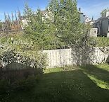 Walkout basement