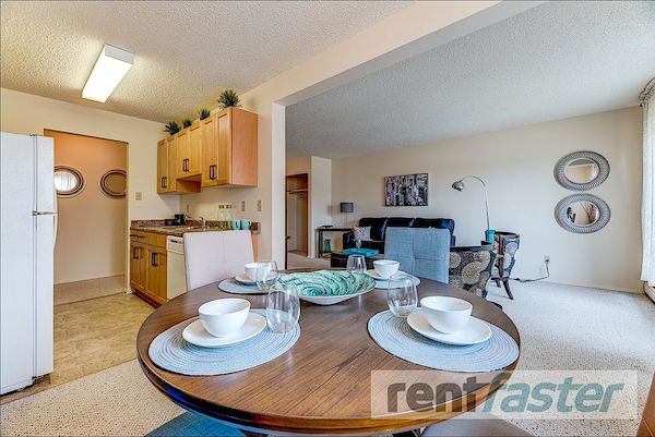 Edmonton 1 bedroom Apartment for rent. Property photo: 458652-3