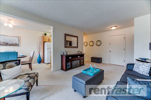 Edmonton 1 bedroom Apartment for rent. Property photo: 458652-2