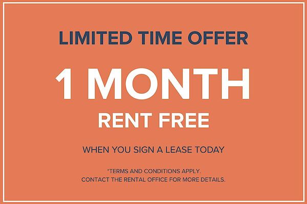 Montr&eacute;al bachelor bedrooms Apartment for rent. Property photo: 459064-2