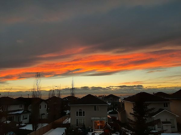 Calgary 4 bedrooms House for rent. Property photo: 461821-2