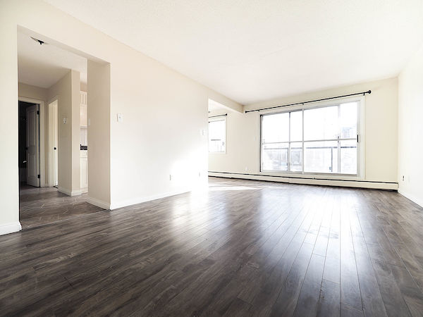 Edmonton 1 bedroom Apartment for rent. Property photo: 462881-3