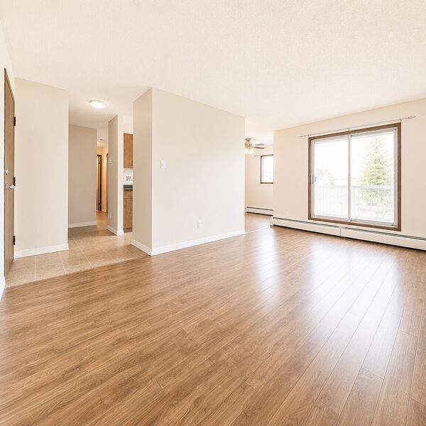 Edmonton 1 bedroom Apartment for rent. Property photo: 462915-3