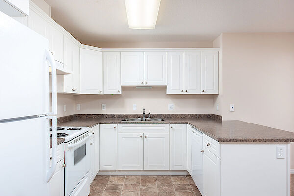 Edmonton 2 bedrooms Apartment for rent. Property photo: 466697-2