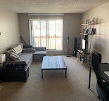 Amazing 1 Bedroom Apt