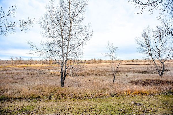 Calgary 3 bedrooms Townhouse for rent. Property photo: 468180-3