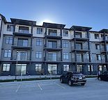 Cozy 2 Bed Condo
