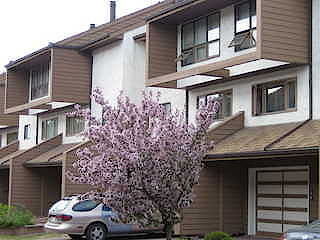 Calgary 3 bedrooms Townhouse for rent. Property photo: 470733-3