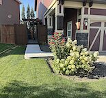 Basement Suite with all utilities included