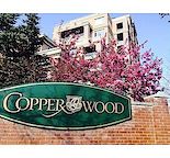 Beautiful 3 bedroom unit overlooking golf course and downtown Calgary