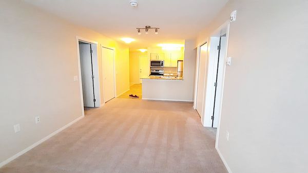 Calgary 2 + Den bedrooms Condo Unit for rent. Property photo: 474905-3
