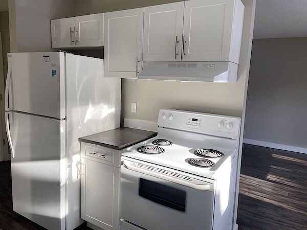 Edmonton 2 bedrooms Apartment for rent. Property photo: 475070-3